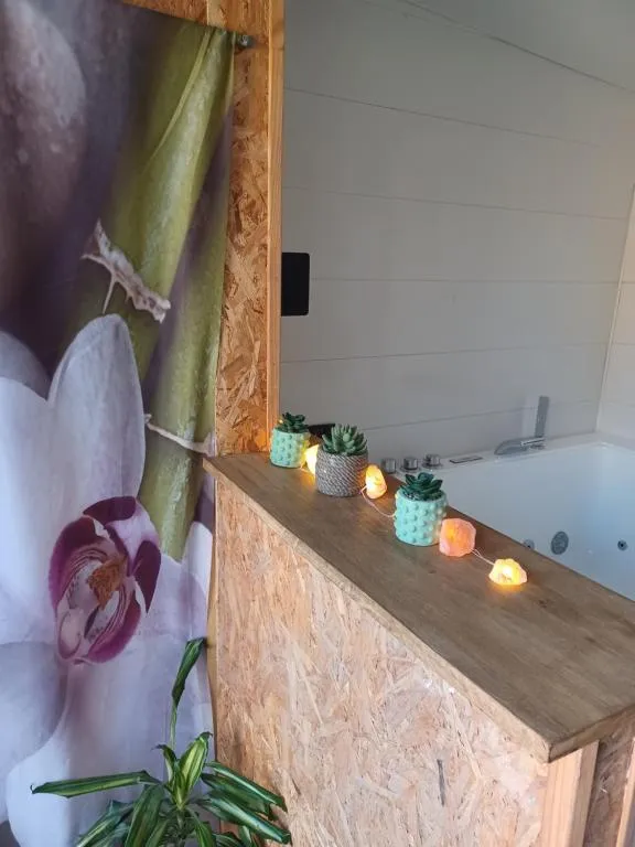 Roulotte de Camille, gîte avec spa à Winnezeele - photo 3 sur 12