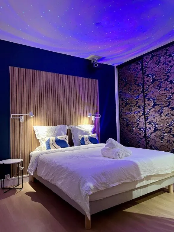 Séjour Insolite spa et sauna, gîte avec spa à Troyes - photo 2 sur 11
