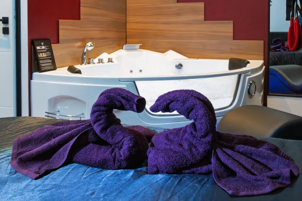 Spa privatif de Voiron, gîte avec spa à Voiron - photo 3 sur 12