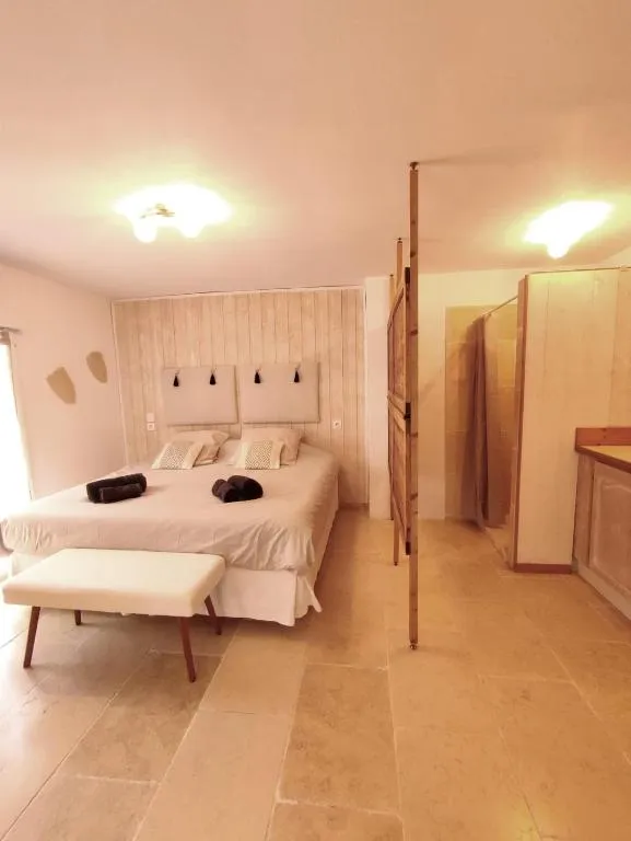 Studio Alpilles spa privatif - maisonnette près de Saint-Gabriel (Tarascon, Bouches-du-Rhône)