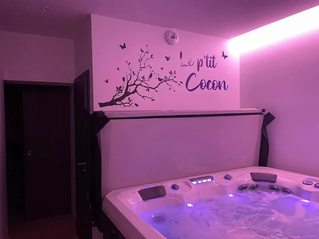 Studio au grand jacuzzi - Bain privé près de Colmar (Horbourg-Wihr, Haut-Rhin)