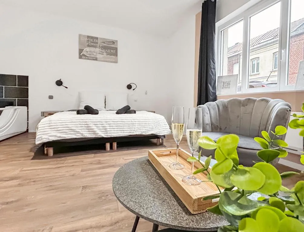 Studio balnéo et cinéma XXL, gîte avec spa à Tourcoing - photo 2 sur 11