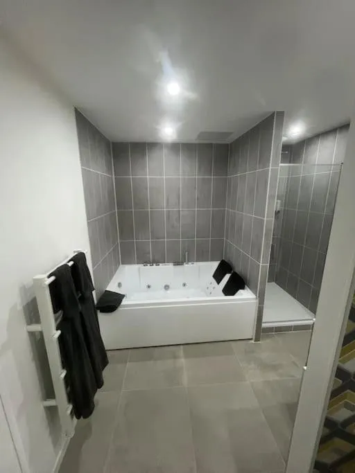 Studio Chopin, gîte avec spa à Chasse-sur-Rhône - photo 3 sur 12