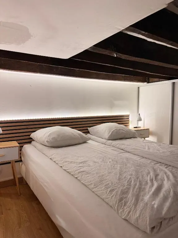 Studio duplex spa et cour - balnéo et piscine privée (Bonnelles, Yvelines)