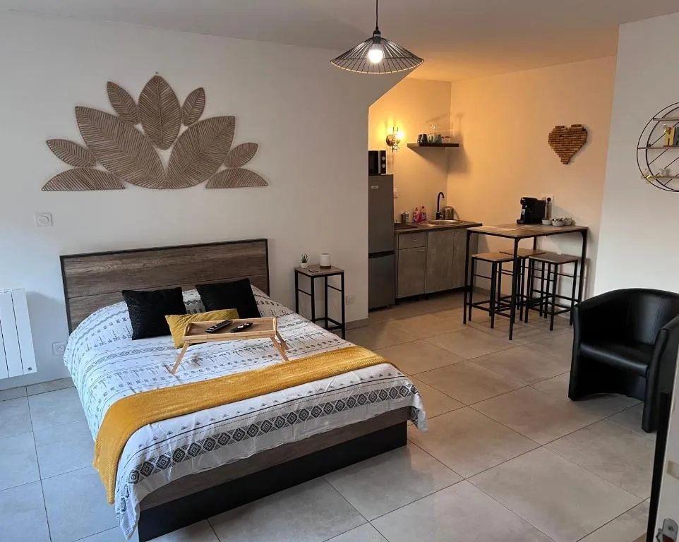 Studio Glamour Balnéo, gîte avec spa à Mur-sur-Allier - photo 2 sur 12