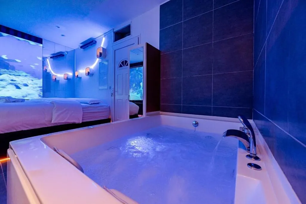 Studio Jacuzzi, gîte avec spa à Messy - photo 3 sur 12