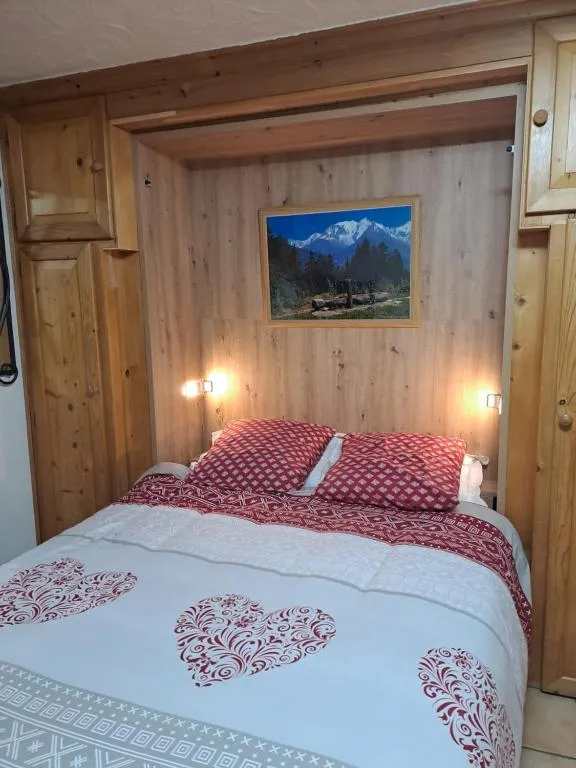 Studio jacuzzi vue montagnes, gîte avec spa à Praz-sur-Arly - photo 2 sur 12