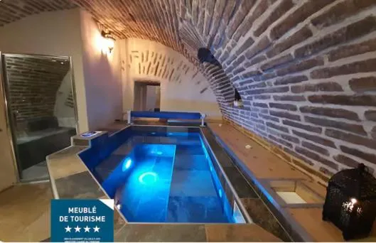 Studio Le Puits de la Grâce - spa privatif et hammam (Albi, Tarn)