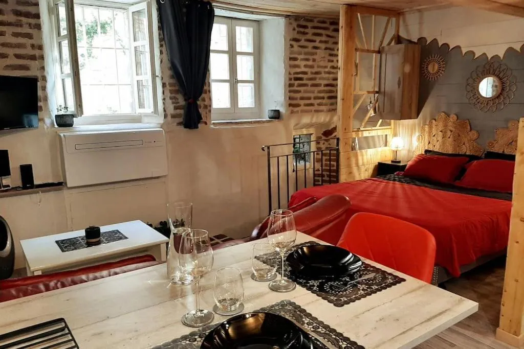Studio Le Puits de la Grâce, gîte avec spa à Albi - photo 2 sur 12