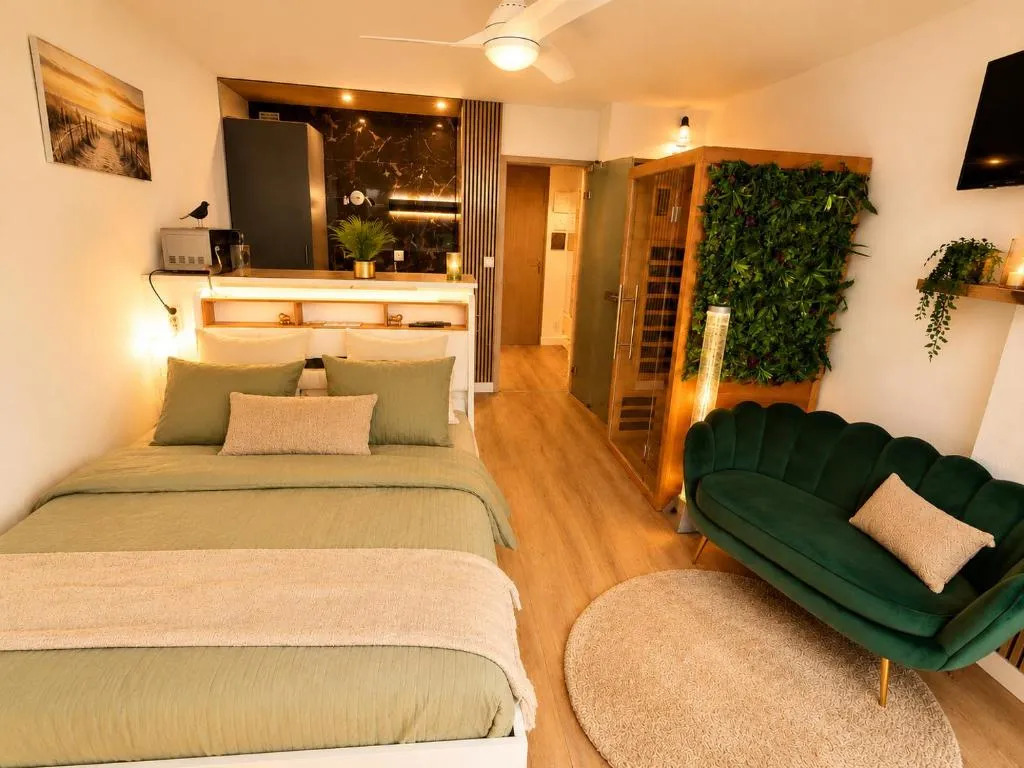 Studio Prestige avec sauna, gîte avec spa à Biscarrosse - photo 2 sur 12