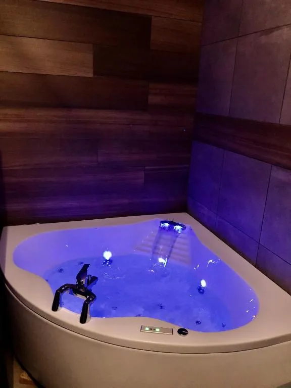 Studio spa et cour du Puy, gîte avec spa à Le Puy-en-Velay - photo 3 sur 12