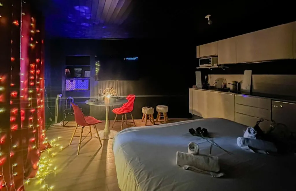 Studio spa vieille ville Annecy, love room à Annecy - photo 2 sur 12