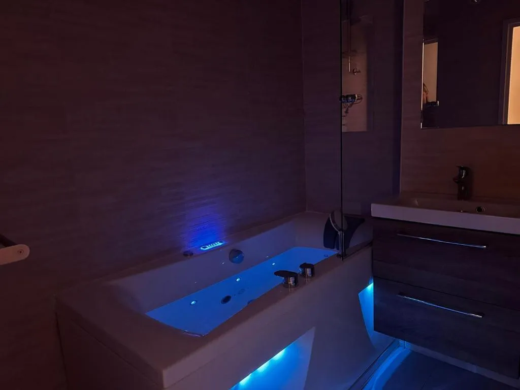 Studio spa vieille ville Annecy, love room à Annecy - photo 3 sur 12