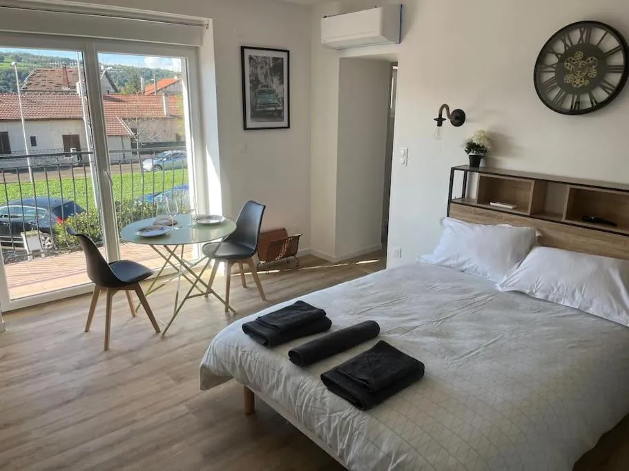Studio Wagner, gîte avec spa à Chasse-sur-Rhône - photo 2 sur 12