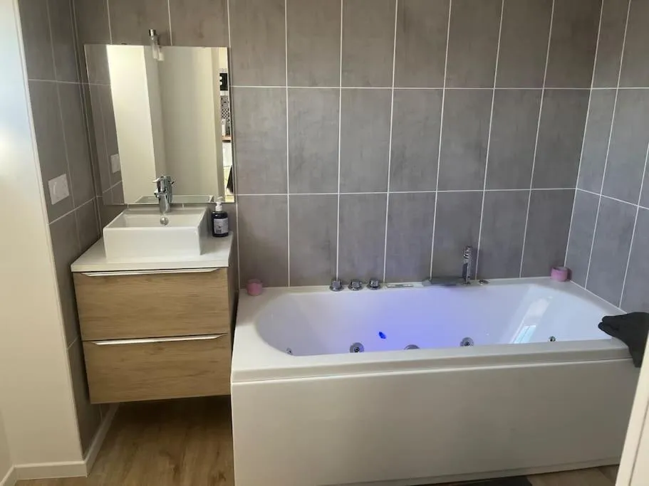 Studio Wagner, gîte avec spa à Chasse-sur-Rhône - photo 3 sur 12