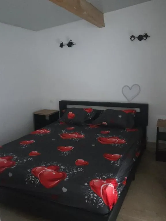 Suite balnéo d'Arles, love room à Arles - photo 2 sur 12