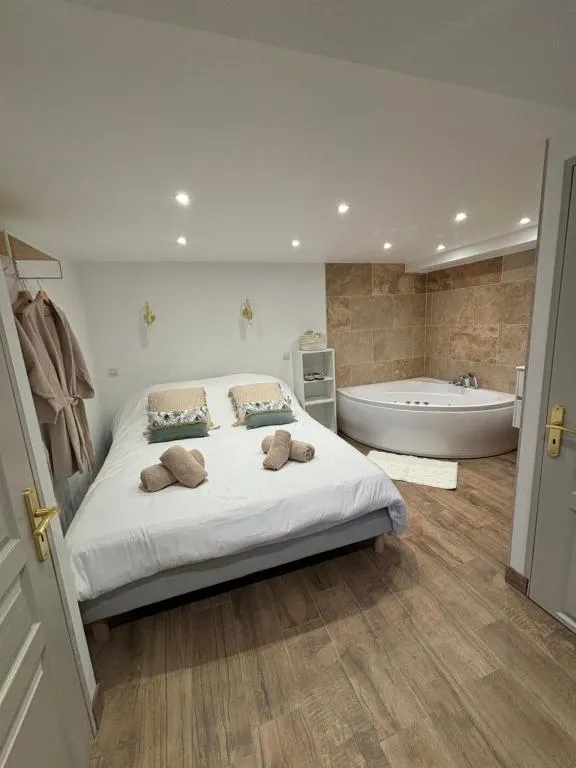 Suite balnéo de Julie - Bain à remous et parking privé (Épernay, Marne)