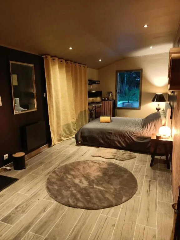 Suite Balnéo en bord de forêt, gîte avec spa à Pouzy-Mésangy - photo 2 sur 12