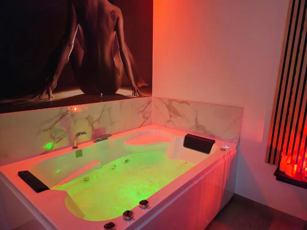 Suite Balnéo Margot, gîte avec spa à Vichy - photo 3 sur 12