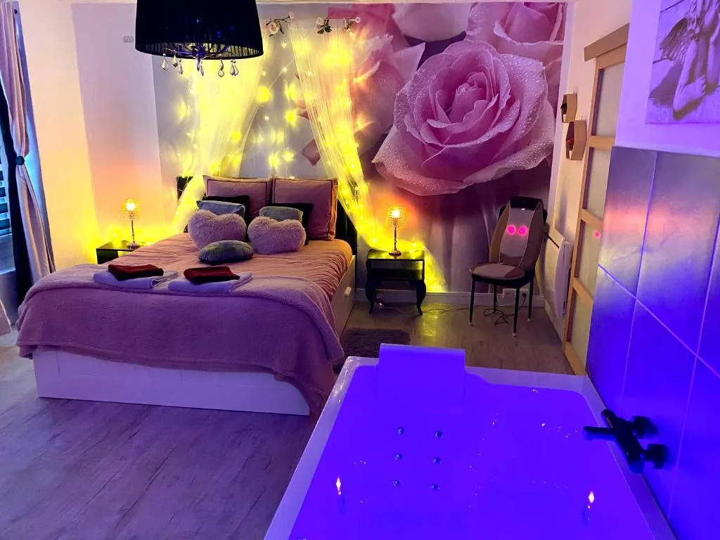 Suite Cristal Jacuzzi et Sauna, gîte avec spa à Avignon - photo 3 sur 10