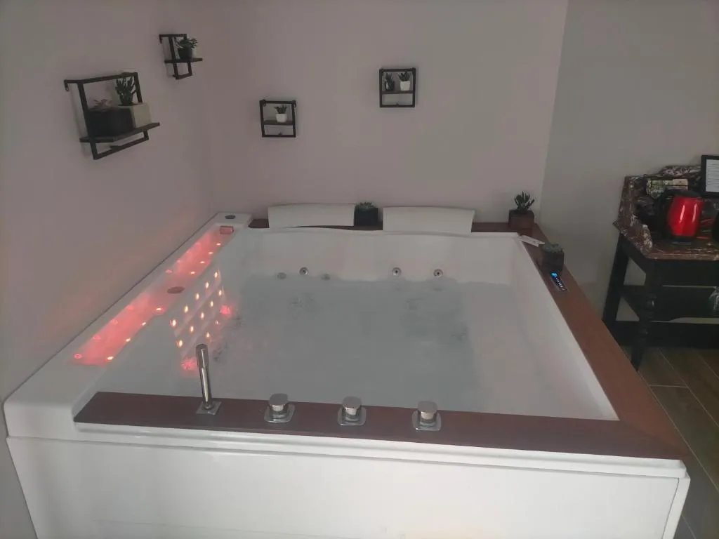 Suite de l'Orée du Marais, gîte avec spa à Le Barp - photo 2 sur 7