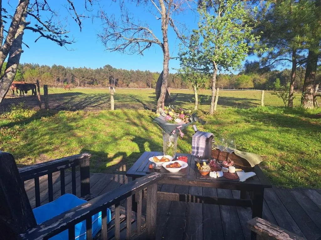 Suite de l'Orée du Marais, gîte avec spa à Le Barp - photo 3 sur 7