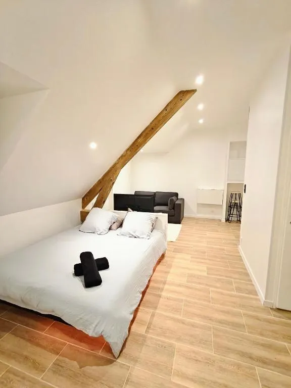 Suite Évasion Jacuzzi, gîte avec spa à Châtel-Guyon - photo 2 sur 12