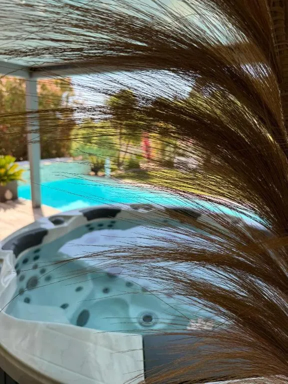 Suite Hammam et Jacuzzi - Piscine privée et petit-déjeuner à la carte (Villeneuve, Alpes-de-Haute-Provence)