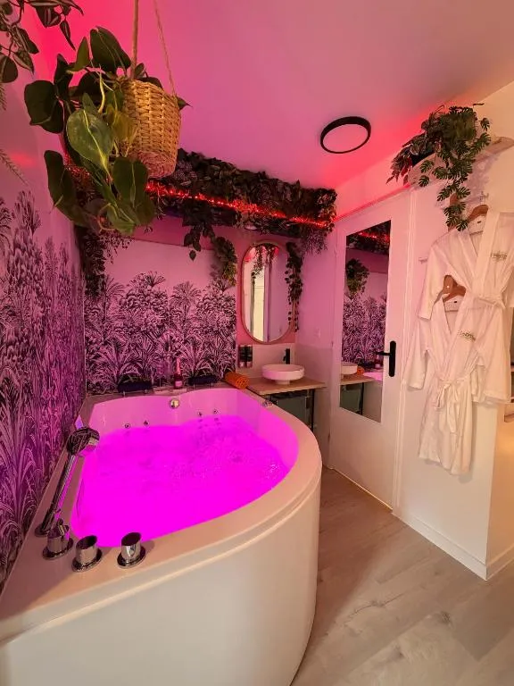Suite Hanamori, gîte avec spa à Sassenage - photo 3 sur 11