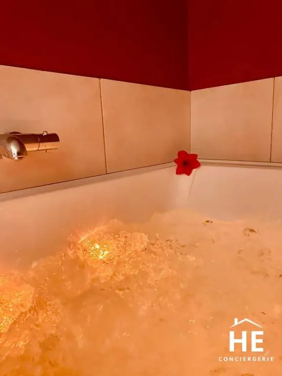 Suite Hibiscus, gîte avec spa à Montargis - photo 3 sur 12