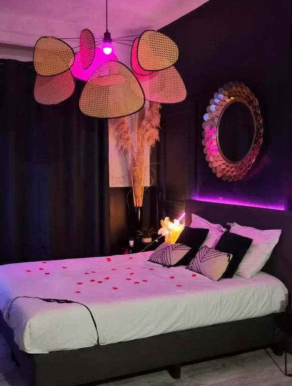 Suite Jacuzzi et Massage, gîte avec spa à Saint-Étienne - photo 3 sur 7