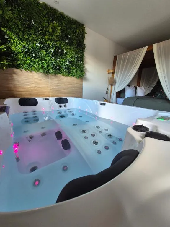 Suite jacuzzi et sauna de Carpentras, gîte avec spa à Carpentras - photo 2 sur 11