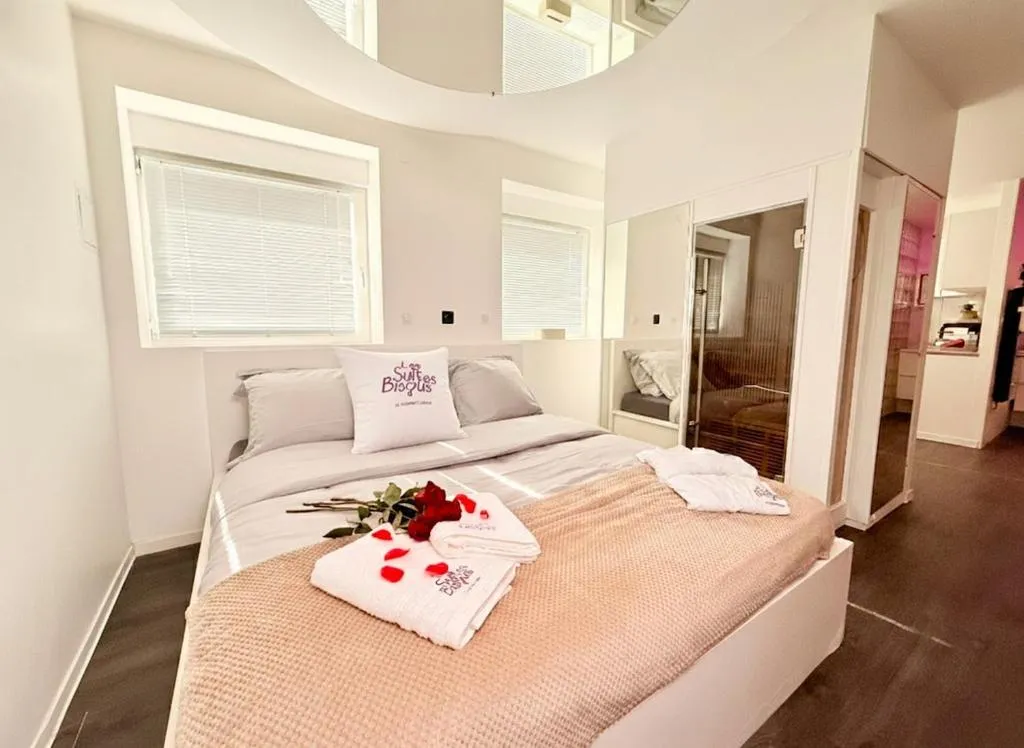 Suite Jacuzzi et Sauna Privé, gîte avec spa à Metz - photo 2 sur 12
