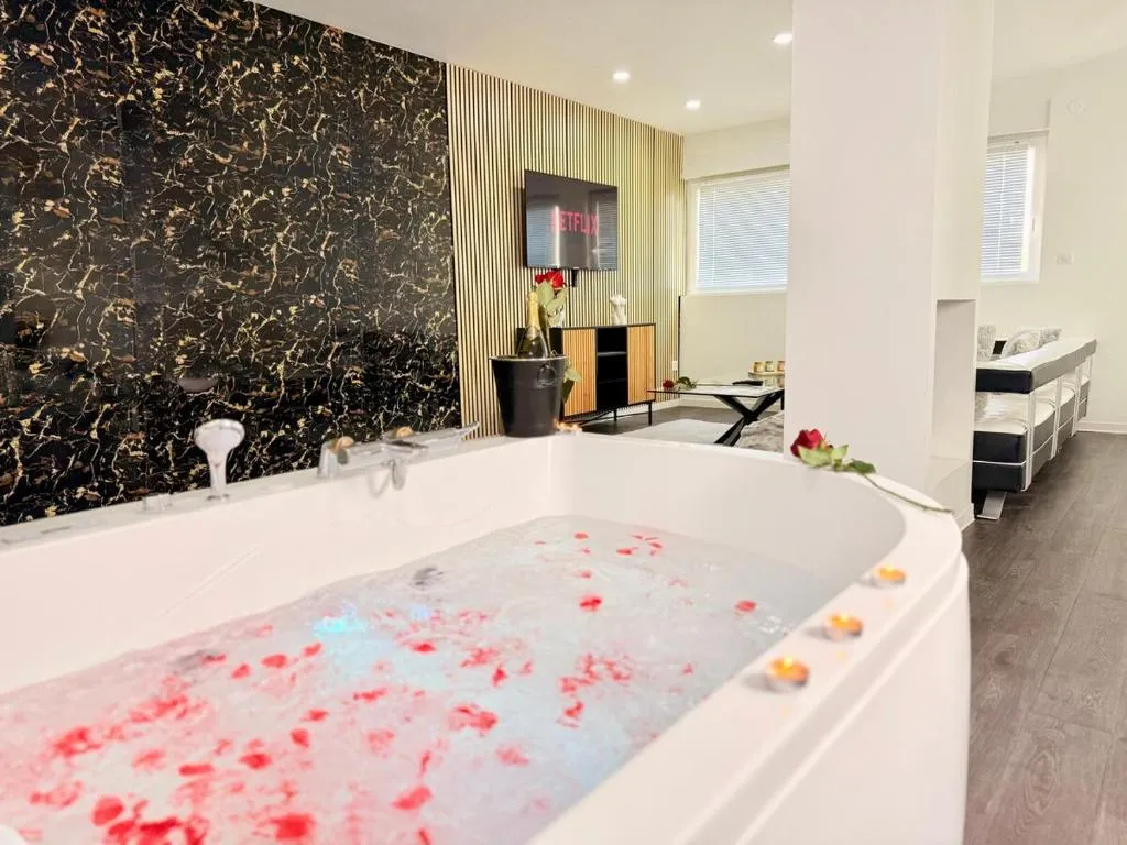 Suite Jacuzzi et Sauna Privé, gîte avec spa à Metz - photo 3 sur 12
