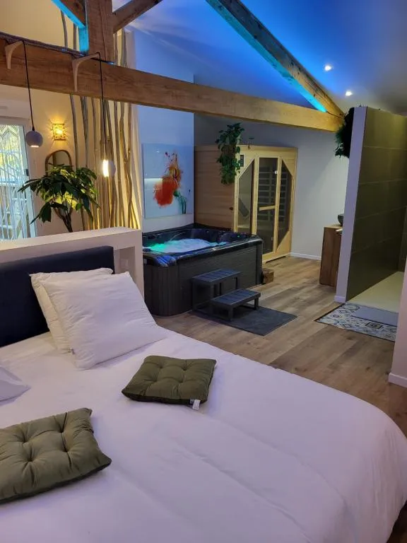 Suite l'Olive Sacrée, gîte avec spa à Cabannes - photo 2 sur 11