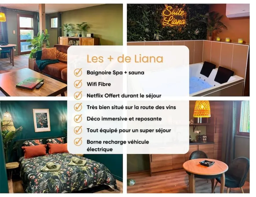 Suite Liana, gîte avec spa à Rorschwihr - photo 2 sur 12