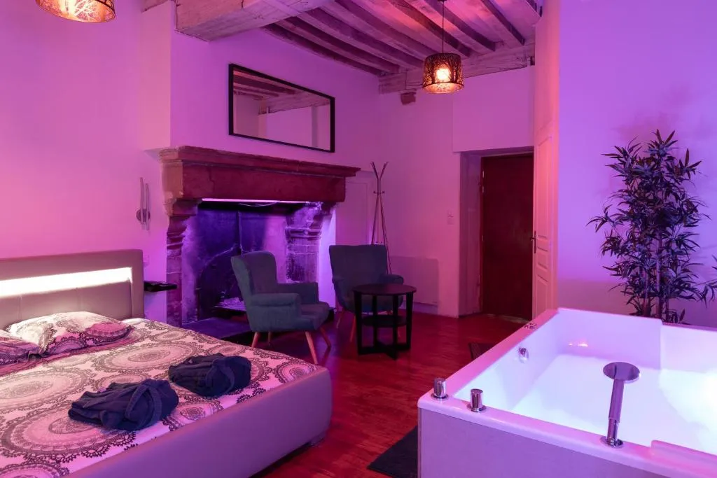 Suite LX203, gîte avec spa à Dijon - photo 2 sur 12