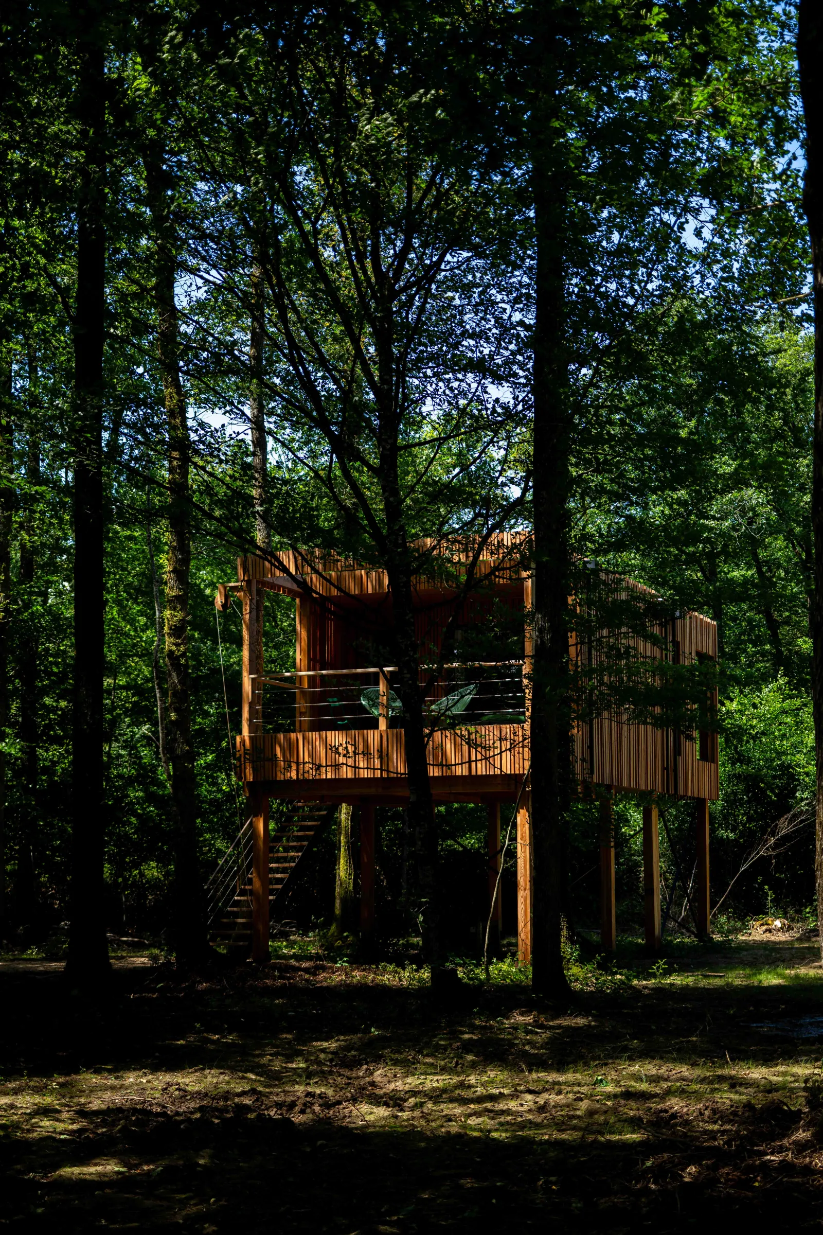 Suite Ride my Bike & Spa - Lodge sur pilotis avec spa privé (Esvres, Indre-et-Loire)
