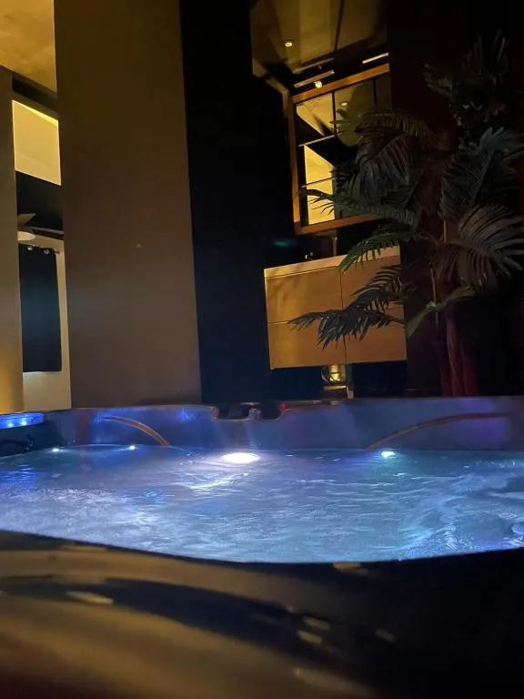 Suite sauna Jules Vallès, gîte avec spa à Saint-Martin-d'Hères - photo 3 sur 11