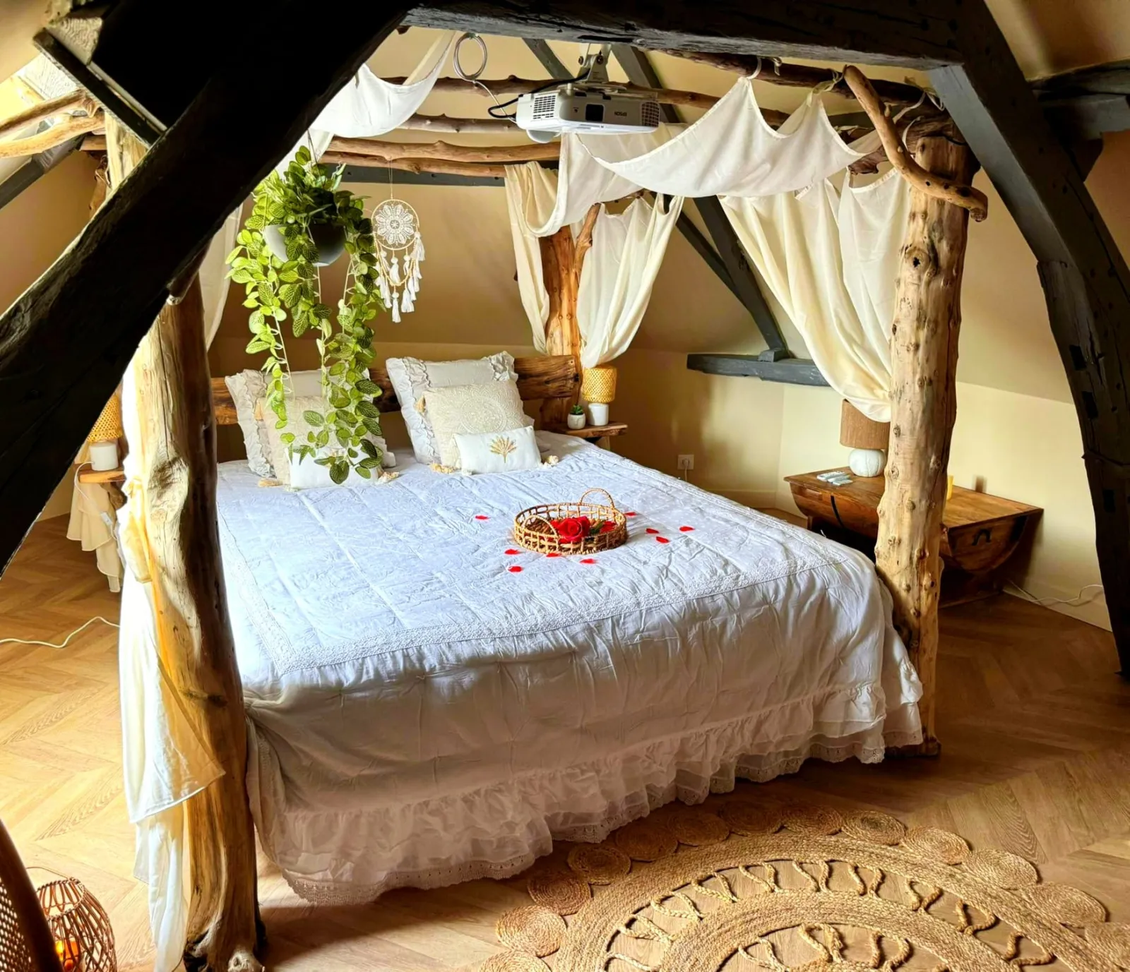 Suite Savane, chambre à thème à Amiens - photo 2 sur 12