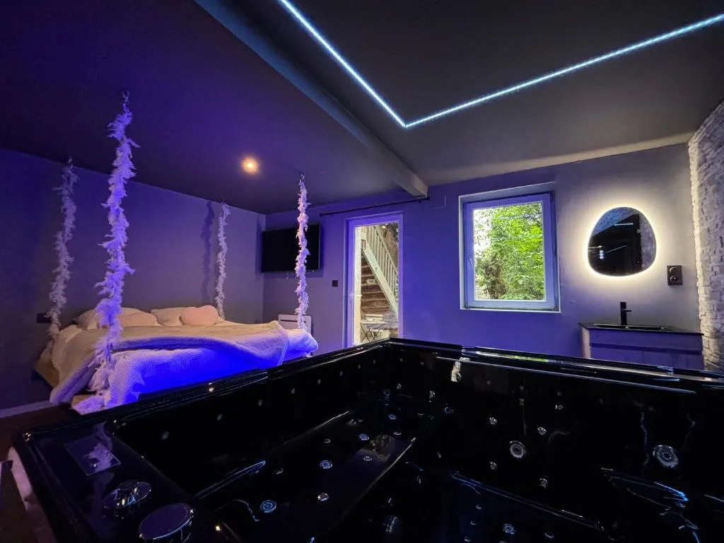Suite Spa Jacuzzi XXL, gîte avec spa à Châtenois - photo 2 sur 12