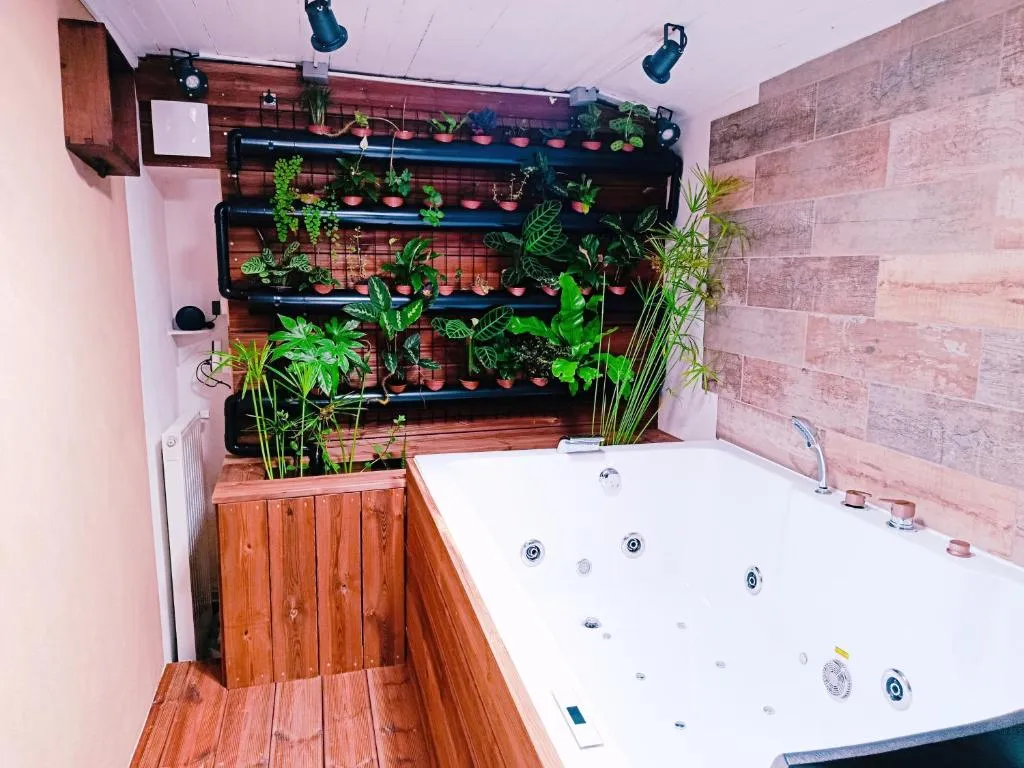 Suite végétale de Nesmy - Balnéo et sauna privatifs dans un univers de bois (Nesmy, Vendée)