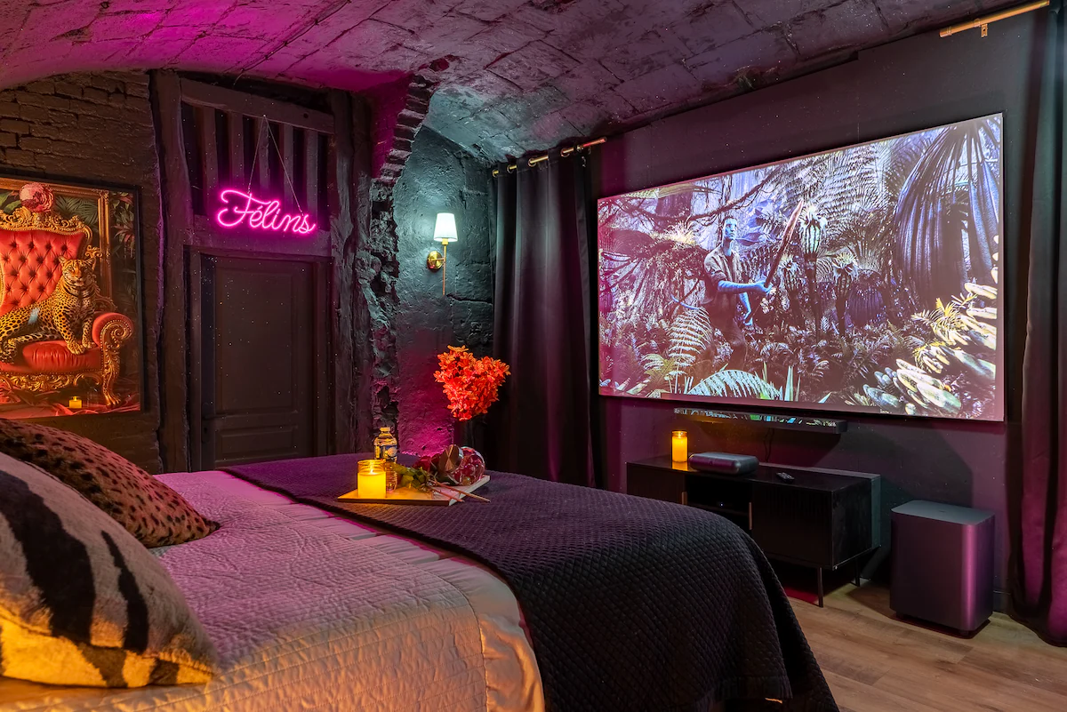 Suite Voûtée Félins, gîte avec spa à Rouen - photo 3 sur 8