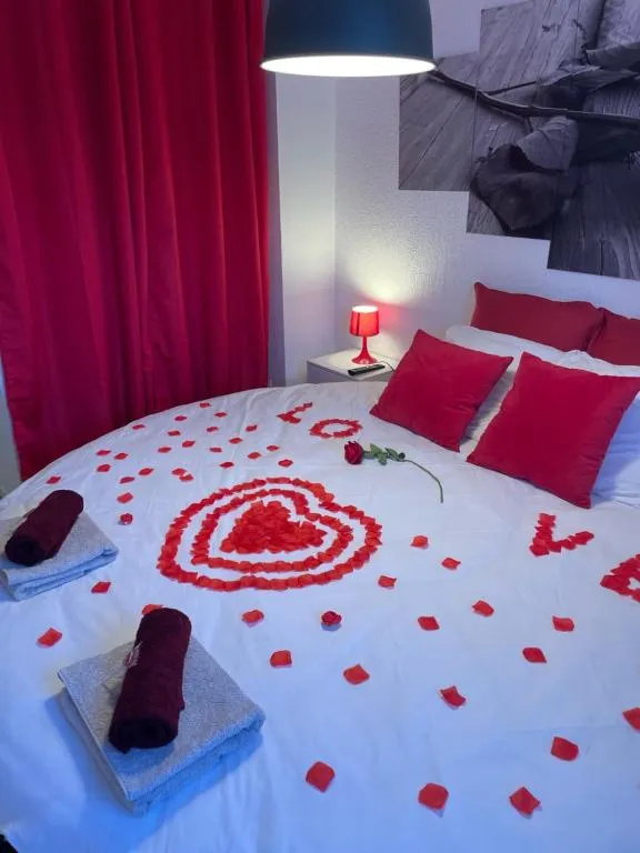 T2 au lit rond de Toulouse Nord, gîte avec spa à Toulouse - photo 2 sur 11