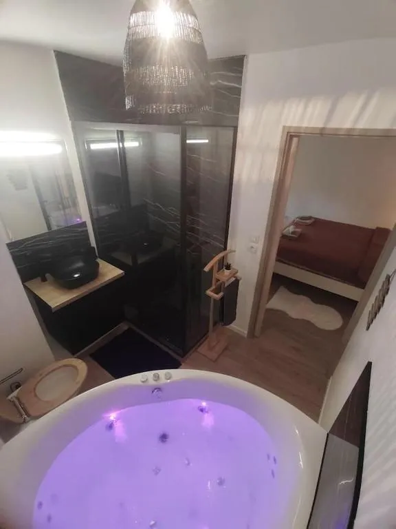 T2 balnéo de Blagnac, gîte avec spa à Blagnac - photo 3 sur 12