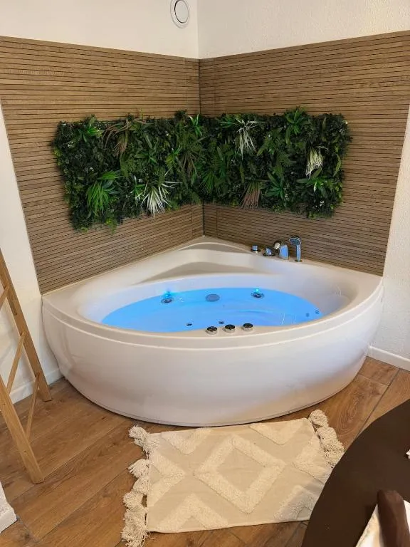 T2 balnéo et arcades, gîte avec spa à Tournefeuille - photo 3 sur 12