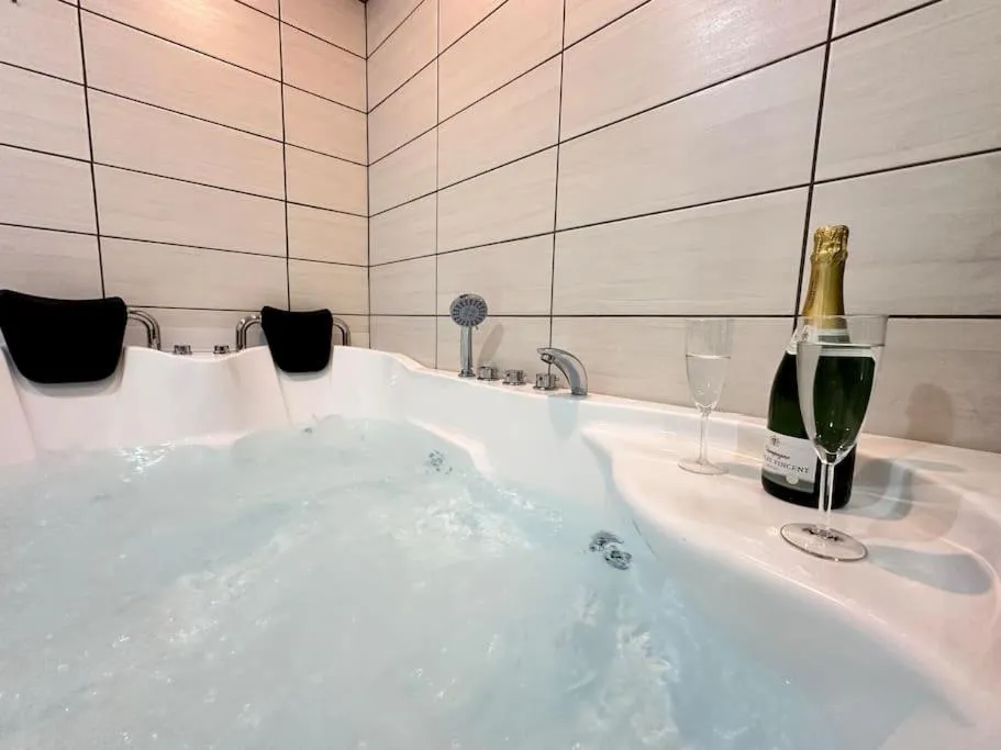 T3 Servagnat Sauna et Hammam, gîte avec spa à Épernay - photo 3 sur 12
