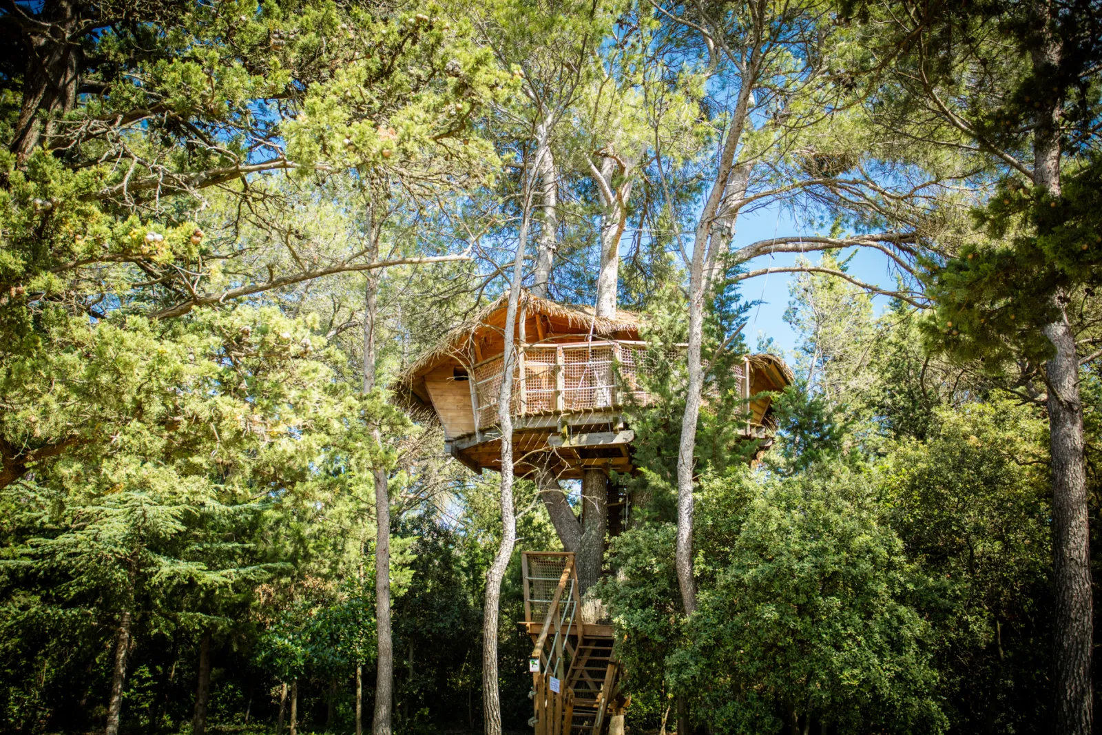 Tourterelle & Spa privatif - Domaine St-Jean de l'Arbousier (Castries, Hérault)