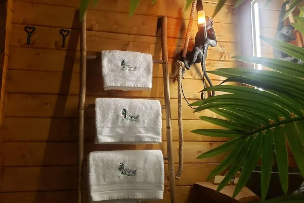 Tropical Spa, gîte avec spa à Provin - photo 3 sur 12