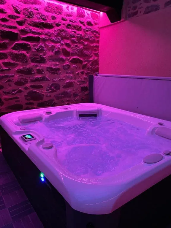 Villa Lily Spa, gîte avec spa à La Vicomté-sur-Rance - photo 3 sur 11